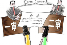 鱼峰工资清欠服务