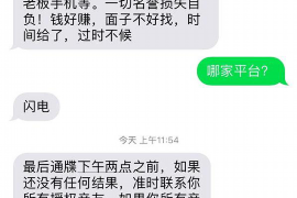 鱼峰融资清欠服务